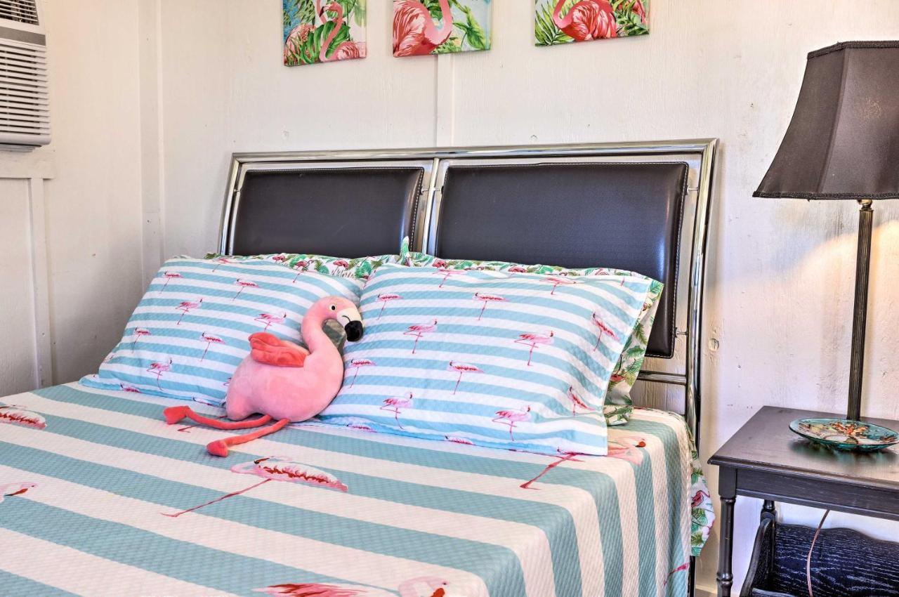 Flirty Flamingo Studio 1 Mi To Каньон-Лейк Экстерьер фото
